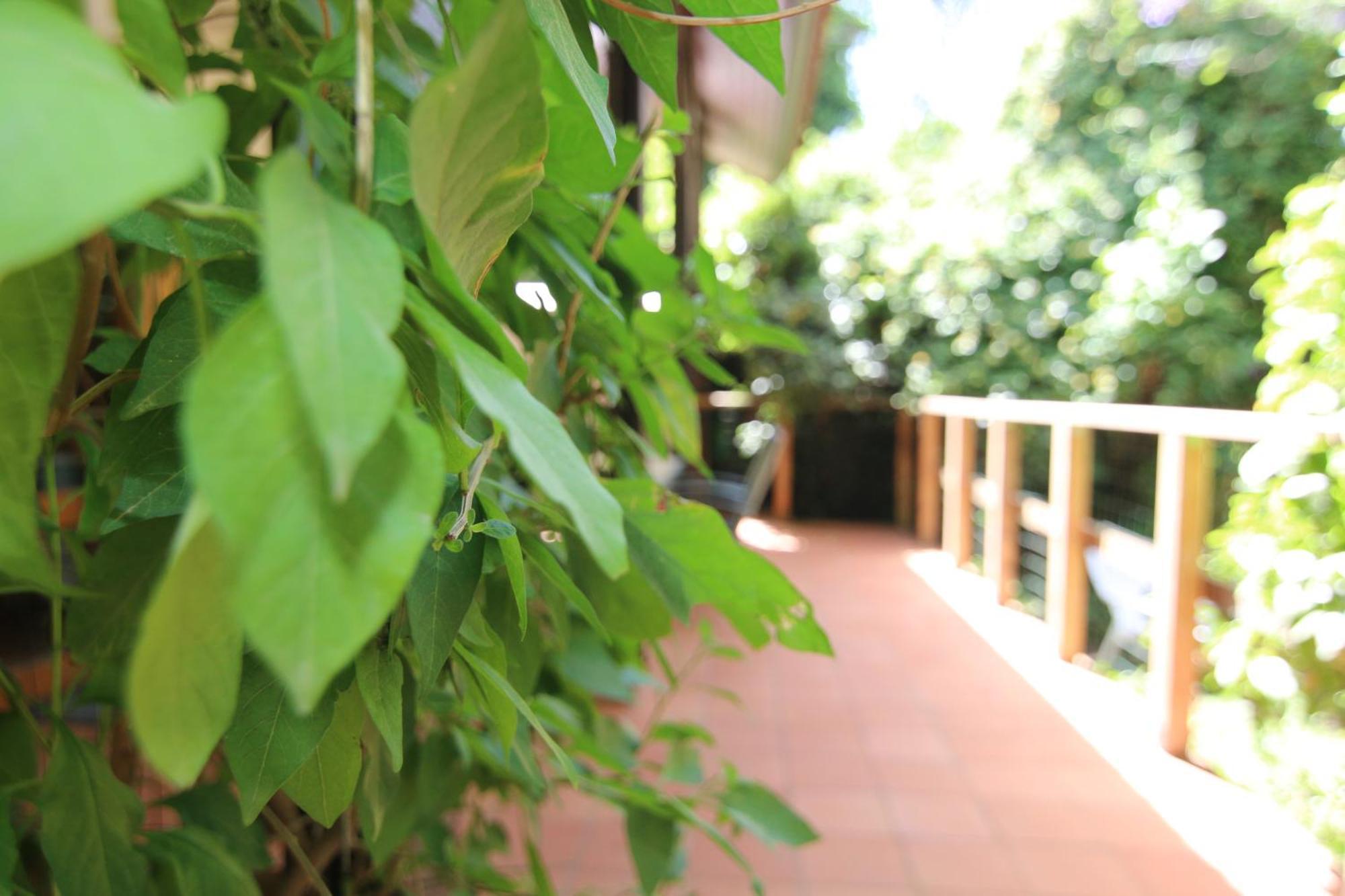 Vitrage Holiday Village And Spa Bet Hillel Kamer foto
